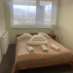 Homestay Mona Wisla